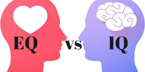 نقش آی کیو و ای کیو در موفقیت کسب و کار