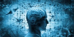 NLP چیست ؟ NLP به معنای برنامه‌ریزی عصبی کلامی است. هر شخصی می‌تواند از طریق قدرت کلام، بر سیستم عصبی شما تأثیرگذار باشد.