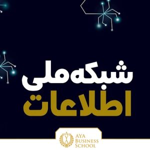 طرح شبکه ملی اطلاعات در بسیاری از کشورهای جهان اجرا شده است که باعث پیشرفت شده اما بعضی آن را تهدیدی برای آینده می دانند. اینترنت ملی، تهدید یا فرصت