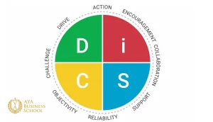 آزمون شخصیت شناسی DISC چیست؟