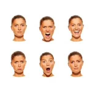 شخصیت شناسی از روی چهره
